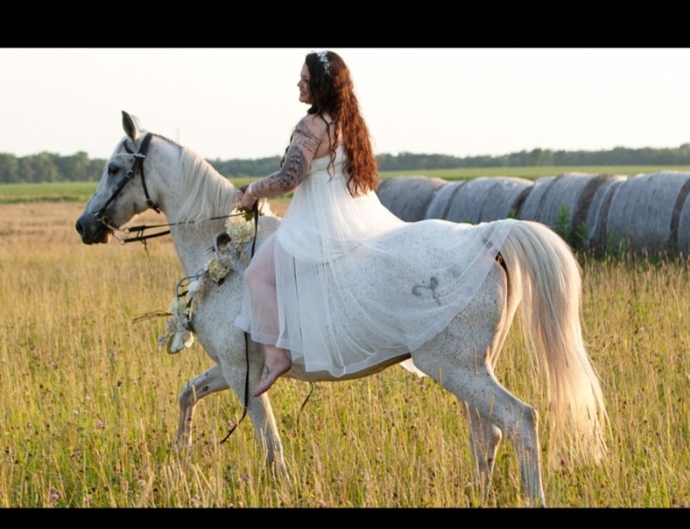 Gypsy Roe's Stable Image