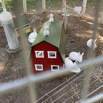 Howell's Greenhouse and Pumpkin Patch - Farmers Market Near Me - Cumming, Iowa