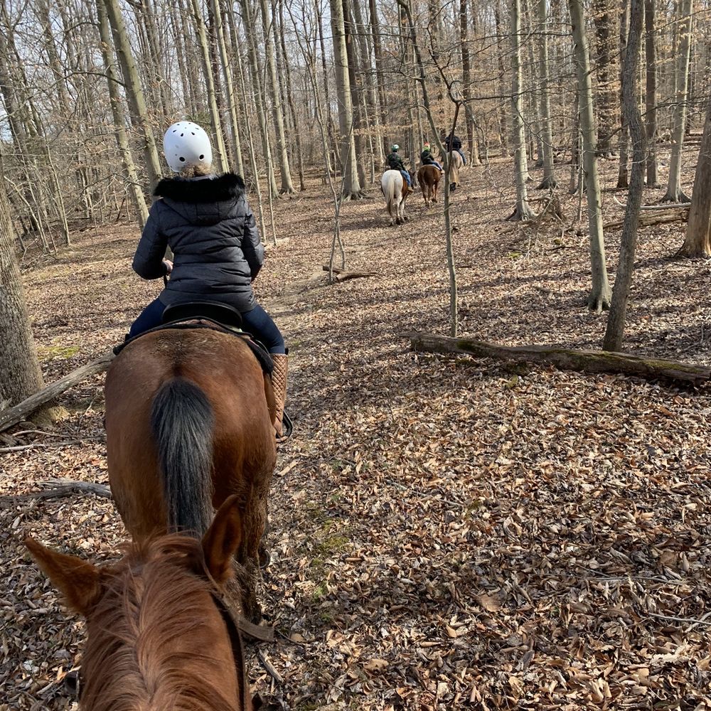 Tamarack Stables - Horseback Riding Near Me - Lorton, Virginia Tamarack Stables - Horseback Riding Near Me - Lorton, Virginia