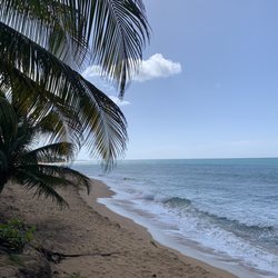 Contra Viento Y Marea Restaurant & Beach Bar - View from restaurant