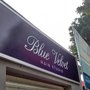 Photo of Blue Velvet Hair Studio