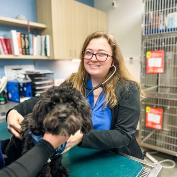Thrive Pet Healthcare - Eldridge - Veterinarians Near Me - Houston, Texas Thrive Pet Healthcare - Eldridge - Veterinarians Near Me - Houston, Texas