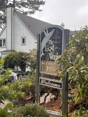 The Lost Whale Inn Oceanfront B&B by null