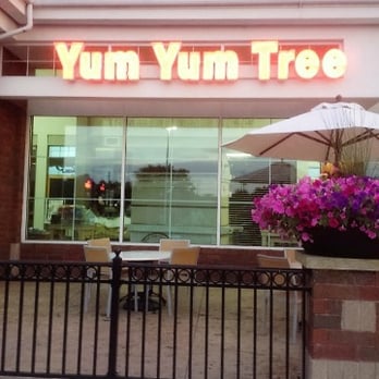 Yum Yum Tree - Yum Yum Tree store front Located at the Giant Eagle Market Place Alliance, OH - Candy Stores Near Me - Alliance, Ohio Yum Yum Tree - Yum Yum Tree store front Located at the Giant Eagle Market Place Alliance, OH - Candy Stores Near Me - Alliance, Ohio