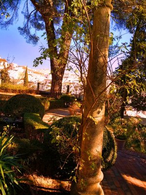 La Casa del Rey Moro by null