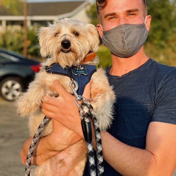 Michael Hill Dog Training - Buddy, Michael Hill - Pet Training Near Me Michael Hill Dog Training - Buddy, Michael Hill - Pet Training Near Me