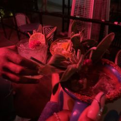 Drinks from the bar