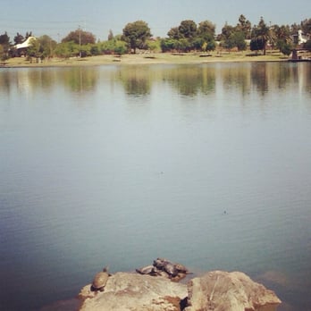 Kiwanis Community Park - Turtles getting their tan on ;) - Parks Near Me - Tempe, Arizona