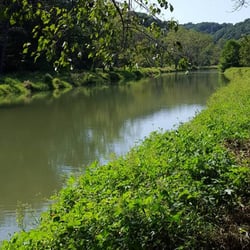 Eden Mill Nature Center - Deer Creek