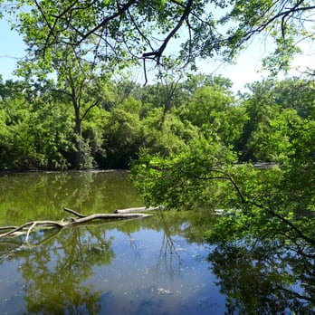 Forest Preserve - Parks Near Me - River Forest, Illinois