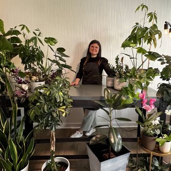 FORTIER PLANTES - Updated June 2026 - 15 Photos - Seattle, Washington -  Indoor Landscaping - Phone Number - Yelp