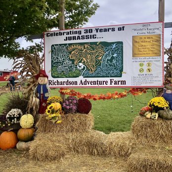 Richardson Farms - Photo opp - Christmas Trees Near Me - Spring Grove, Illinois