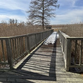 Mattamuskeet Refuge - Observation decks are accessible - Parks Near Me - Swanquarter, North Carolina Mattamuskeet Refuge - Observation decks are accessible - Parks Near Me - Swanquarter, North Carolina