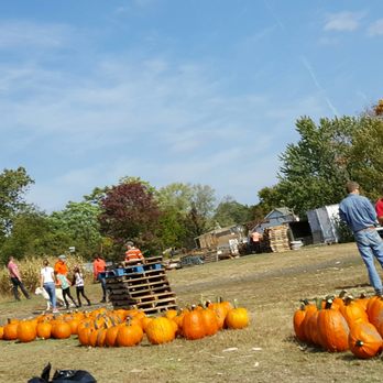 Conklin Farm U-Pick - Pumpkin Patches Near Me - Montville, New Jersey