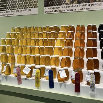 Minnesota State Fair - Honey - Festivals Near Me - Saint Paul, Minnesota Minnesota State Fair - Honey - Festivals Near Me - Saint Paul, Minnesota