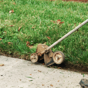 Bonsai - Lawn Services Near Me Bonsai - Lawn Services Near Me