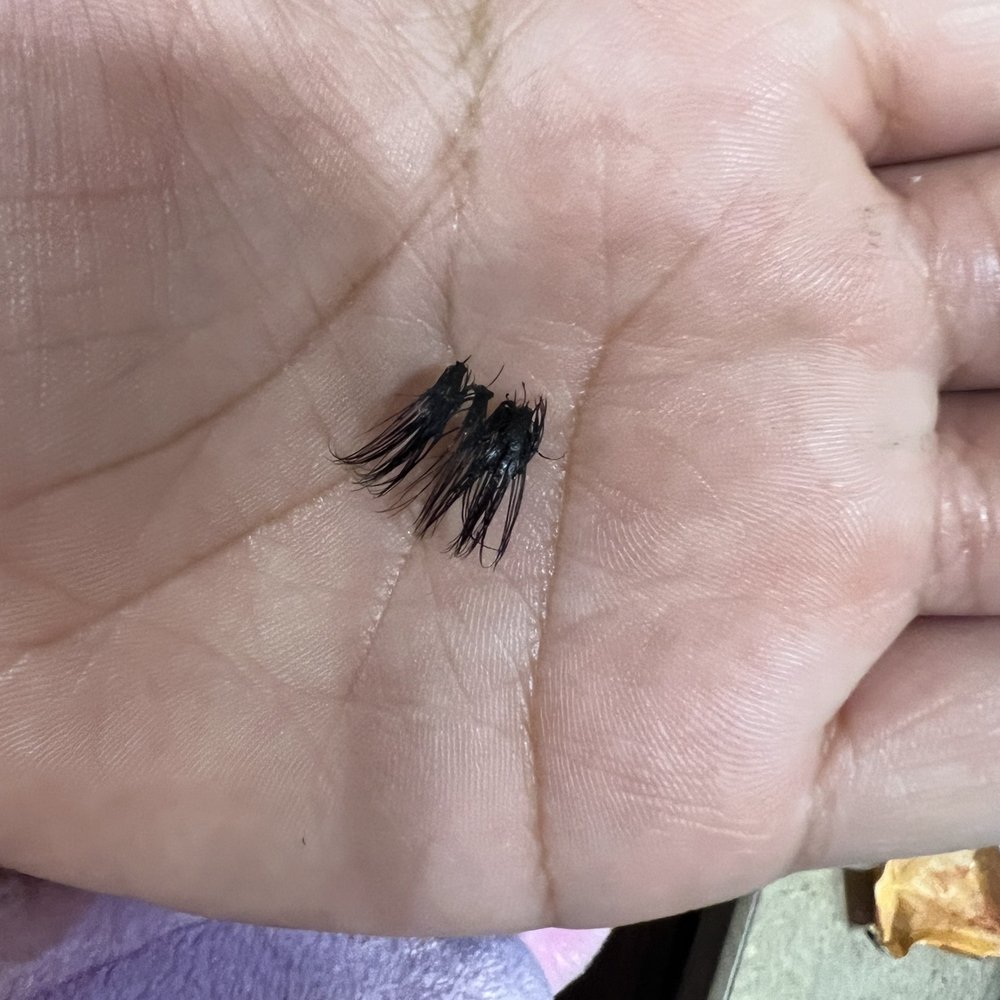 Rock Star Nails and Spa - Lashes - Nail Salons Near Me - Corpus Christi, Texas