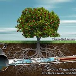 Do It Right Plumbing & Drain Cleaning