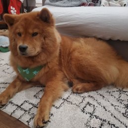 After her groom After her groom
