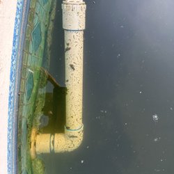 The shear amount of algae shows that Pate's is banking on issues for increased margins. The contract is a joke, poor ownership David.