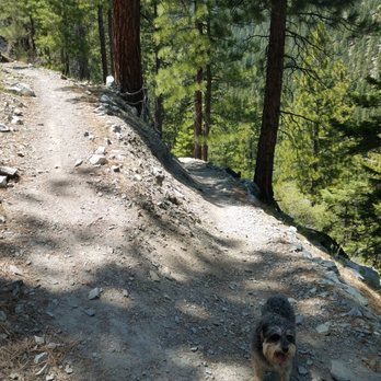 Genoa Loop Trail - Sadie girl letting you know that ALL paths lead to the waterfall - Hiking Near Me - Carson City, Nevada Genoa Loop Trail - Sadie girl letting you know that ALL paths lead to the waterfall - Hiking Near Me - Carson City, Nevada