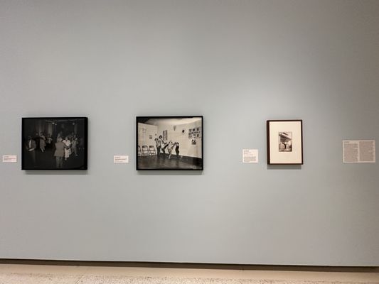 Carnegie Museum of Art by null