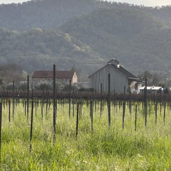 Bell Wine Cellars - Vineyards waiting for vines - Wineries Near Me - Napa, California Bell Wine Cellars - Vineyards waiting for vines - Wineries Near Me - Napa, California