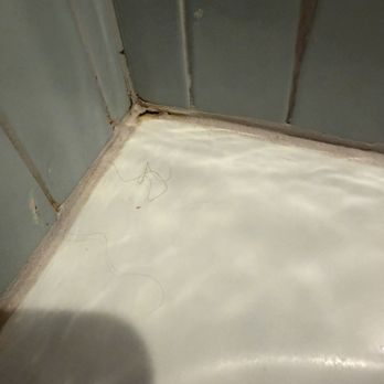 Delamar - Hair and mold in the shower upon check in, the GM Jordan didn't do anything about it but offer to have the room cleaned - Hotels Near Me - Traverse City, Michigan