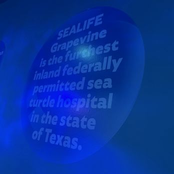 SEA LIFE Grapevine Aquarium - Aquariums Near Me - Grapevine, Texas