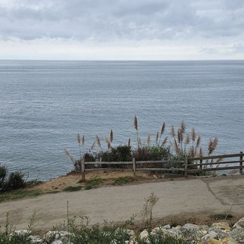 New Brighton State Beach - Parks Near Me - Capitola, California New Brighton State Beach - Parks Near Me - Capitola, California