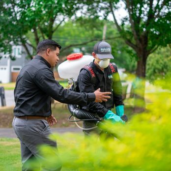 Magna Pest Solutions - Pest Control Near Me - Bedford, Texas Magna Pest Solutions - Pest Control Near Me - Bedford, Texas