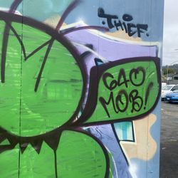 Grafitti - Creator or taggers?