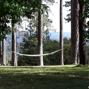 Sierra Sun Cloud Inn - Hammock perfectly placed. - Bed & Breakfast Near Me - Colfax, California