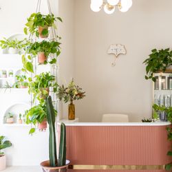 Lotus Den - Our pretty front desk area