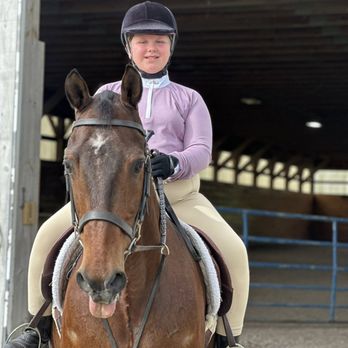 A&M Equine Services - Horseback Riding Near Me - Taunton, Massachusetts A&M Equine Services - Horseback Riding Near Me - Taunton, Massachusetts