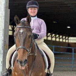 A&M Equine Services