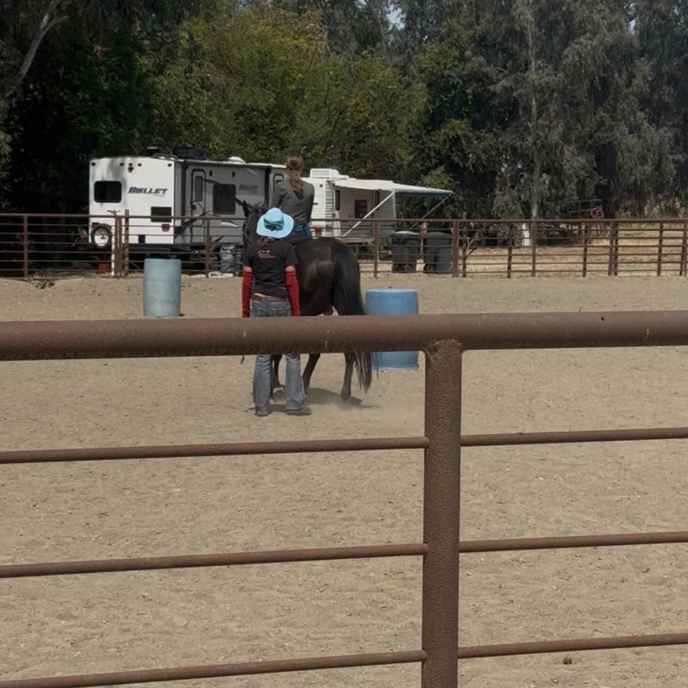 A Horse Experience  - Horseback Riding Near Me - Tracy, California