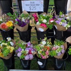 Provo Farmers Market