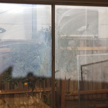 Alemar Building Maintenance - Before - Window Washing Near Me
