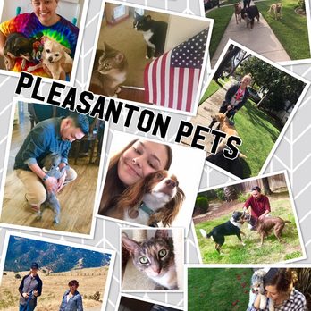 Avalon Pet Sitting - Our crew! - Pet Sitting Near Me