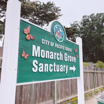 Monarch Grove Sanctuary - Parks Near Me - Pacific Grove, California Monarch Grove Sanctuary - Parks Near Me - Pacific Grove, California