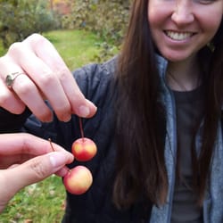 Apples of all shapes and sizes. :)