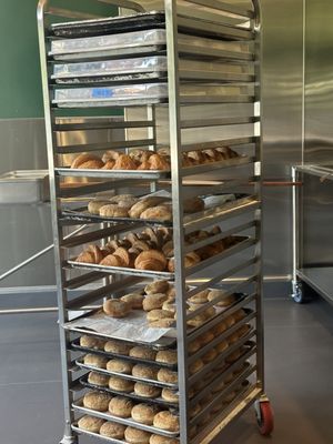 Model Bakery by null