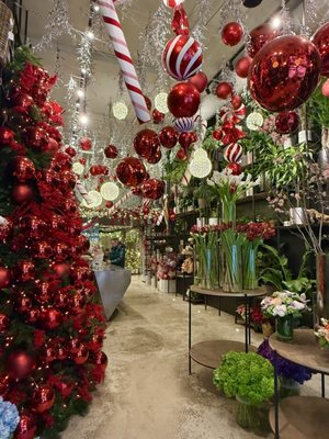 Ariston Floral Boutique by null