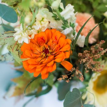 Studio C Florals - Stop by or order online to brighten someone's day - Florists Near Me - Newport Beach, California Studio C Florals - Stop by or order online to brighten someone's day - Florists Near Me - Newport Beach, California