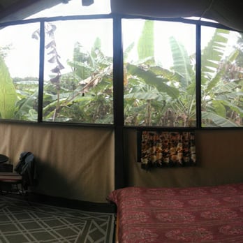 Lucky Farm Bed and Breakfast - The Coffe Barn (as of 2014 Feb). Featuring double 'paned' mosquito-netting windows, half-bath inside, bed and futon. - Bed & Breakfast Near Me - Captain Cook, Hawaii Lucky Farm Bed and Breakfast - The Coffe Barn (as of 2014 Feb). Featuring double 'paned' mosquito-netting windows, half-bath inside, bed and futon. - Bed & Breakfast Near Me - Captain Cook, Hawaii