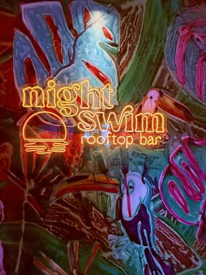 Night Swim Rooftop Bar by null