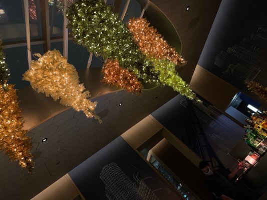 Z Bar by null