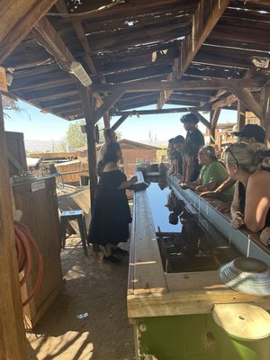 Calico Ghost Tours by null