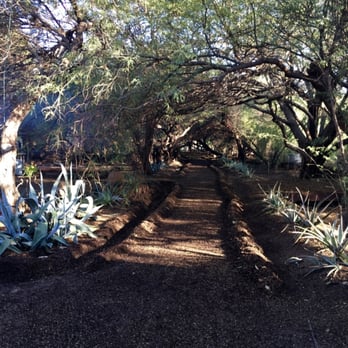 Singh Meadows - Walking through Singh Farms. - Farmers Market Near Me - Tempe, Arizona